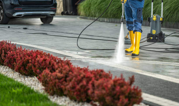Best Driveway Cleaning and Restoration in Yorkville, WI
